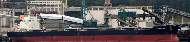 KM NAGOYA Bulk Carrier IMO 9615212 photo 7