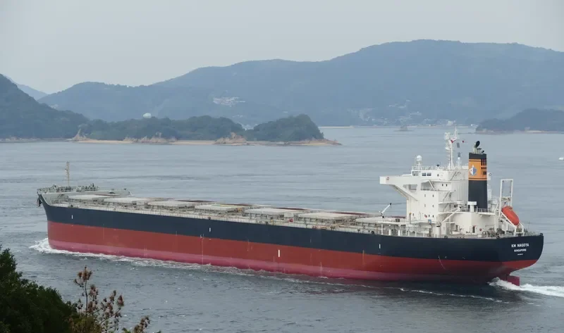 KM NAGOYA Bulk Carrier IMO 9615212 photo 8