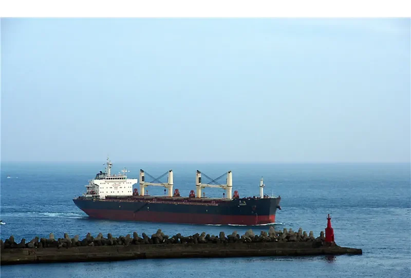 MELATI LAUT Bulk Carrier IMO 9615315 photo 3