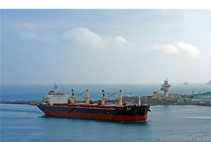 MELATI LAUT Bulk Carrier IMO 9615315 photo 5