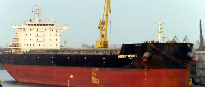 MODIGLIANI Bulk Carrier IMO 9615406
