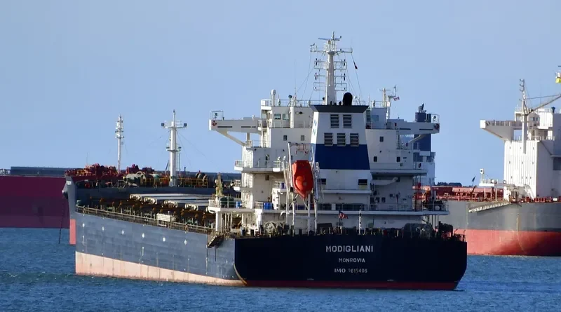 MODIGLIANI Bulk Carrier IMO 9615406 photo 7