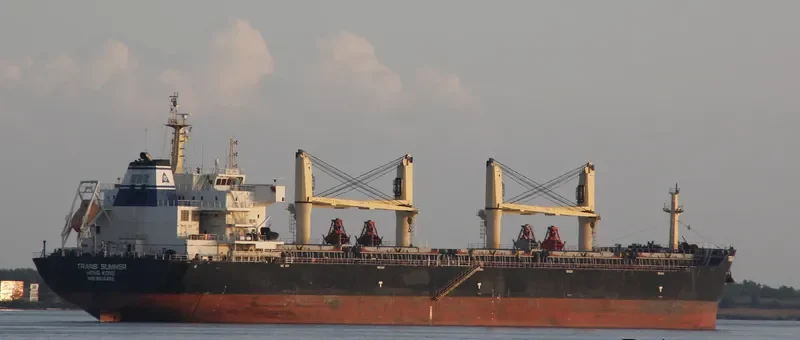 TRANS SUMMER Bulk Carrier IMO 9615468 photo 2
