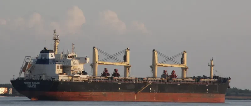 TRANS SUMMER Bulk Carrier IMO 9615468 photo 3