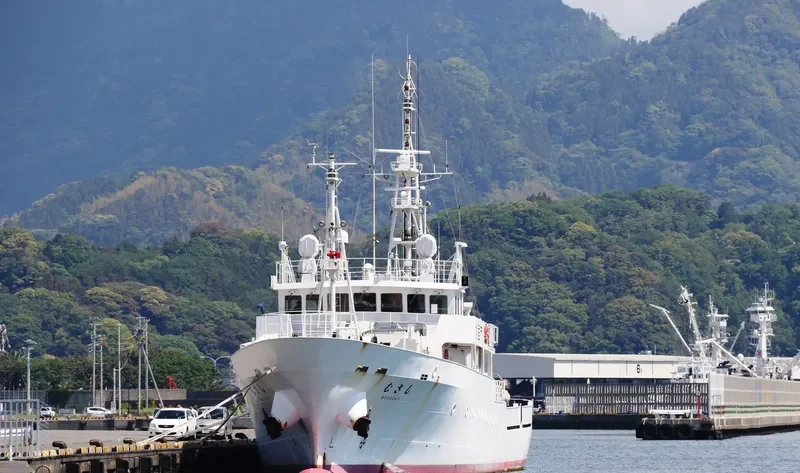 MUSASHI General Cargo IMO 9615535 photo 2