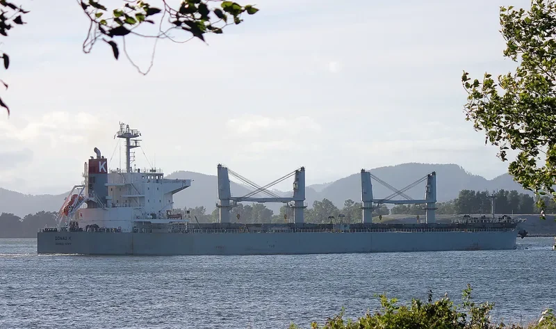 PROPEL GLORY Bulk Carrier IMO 9615755 photo 4