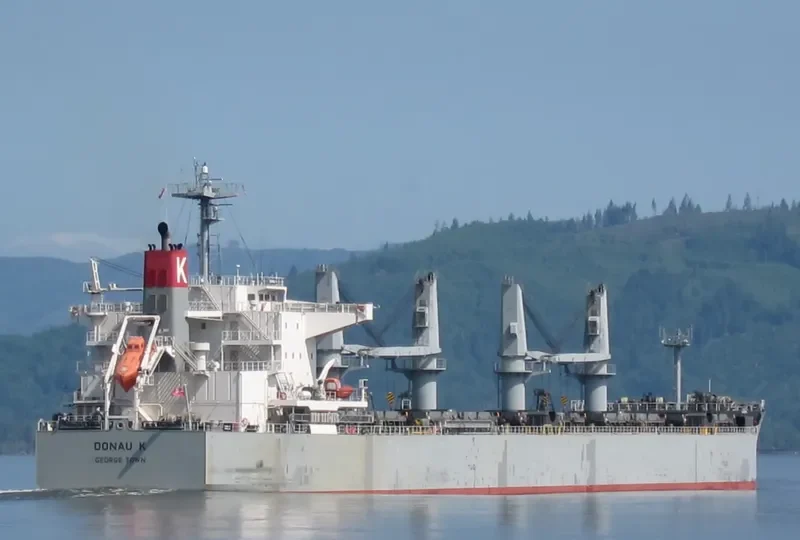 PROPEL GLORY Bulk Carrier IMO 9615755 photo 9