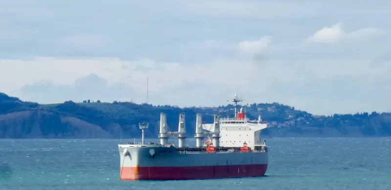 EUROPA BAY Bulk Carrier IMO 9615767 photo 2