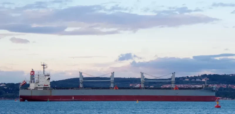 EUROPA BAY Bulk Carrier IMO 9615767 photo 4