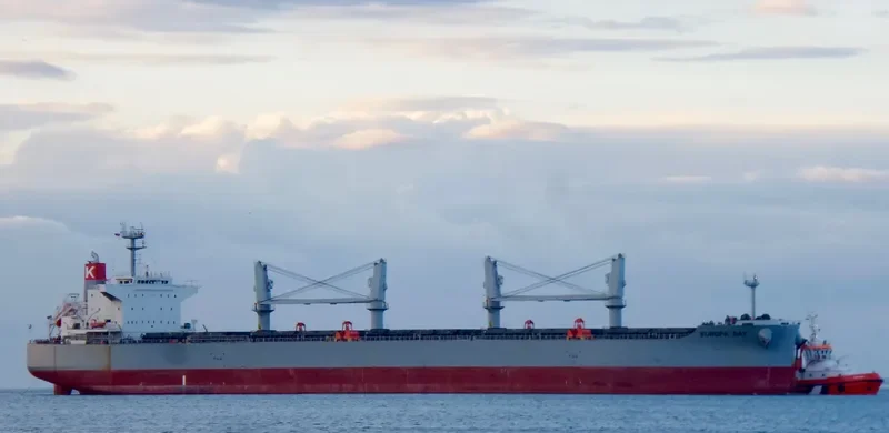 EUROPA BAY Bulk Carrier IMO 9615767 photo 5