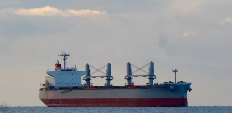 EUROPA BAY Bulk Carrier IMO 9615767 photo 6