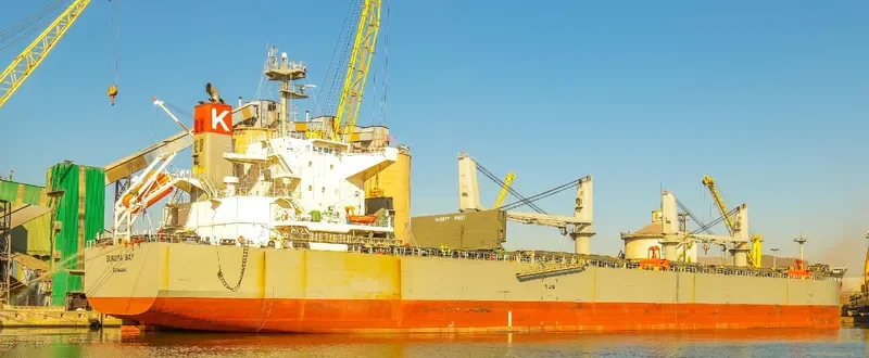 EUROPA BAY Bulk Carrier IMO 9615767 photo 7