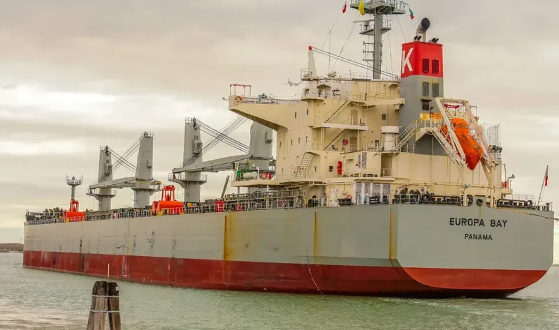 EUROPA BAY Bulk Carrier IMO 9615767 photo 9