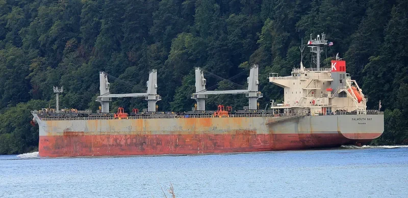 FALMOUTH BAY Bulk Carrier IMO 9615779 photo 3