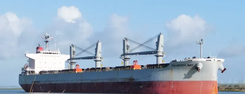 FALMOUTH BAY Bulk Carrier IMO 9615779 photo 5