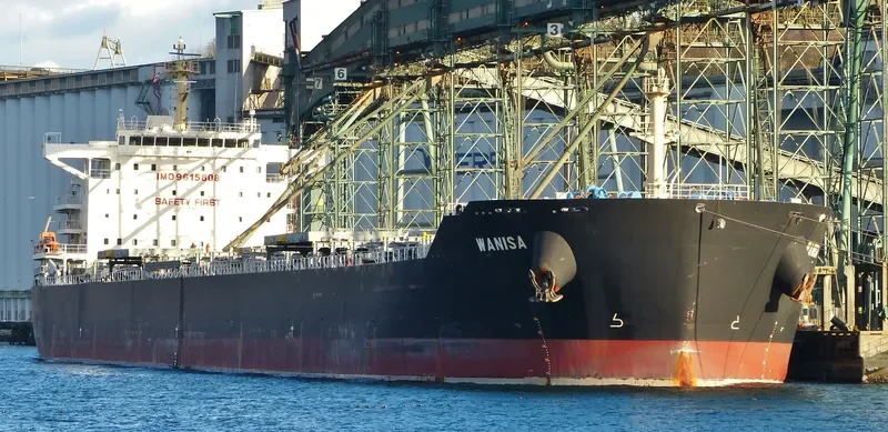 WANISA Bulk Carrier IMO 9615808 photo 2