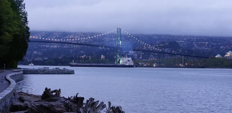 WANISA Bulk Carrier IMO 9615808 photo 8