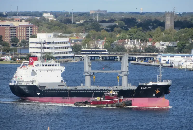 BALSA 87 General Cargo IMO 9616022 photo 8