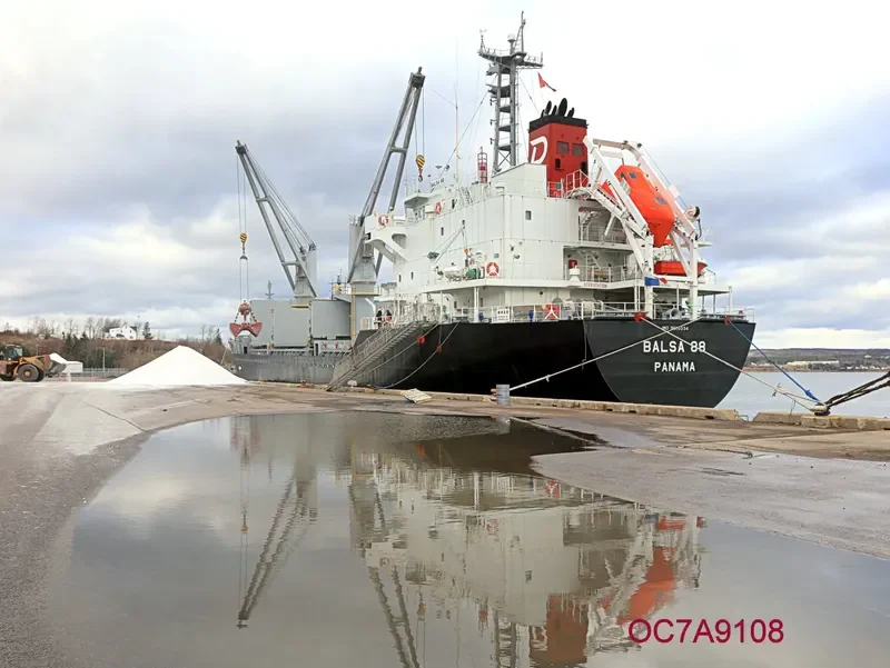 BALSA 88 General Cargo IMO 9616034