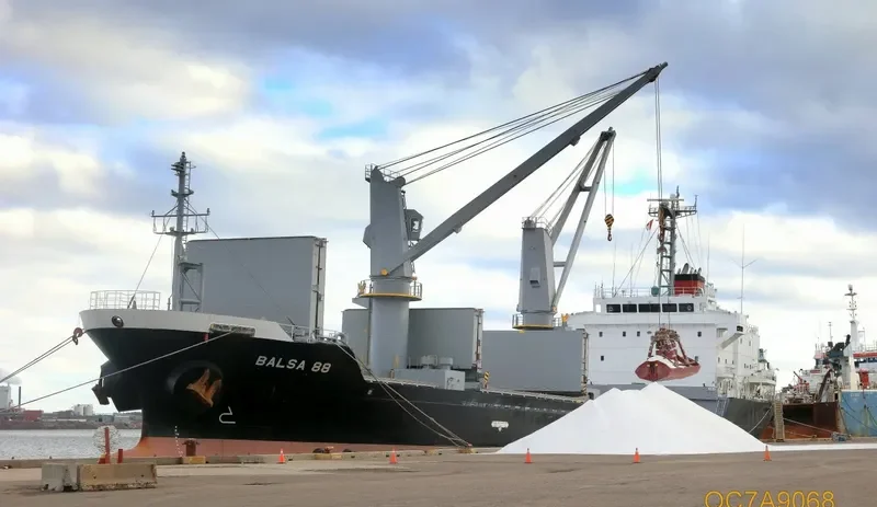 BALSA 88 General Cargo IMO 9616034 photo 3