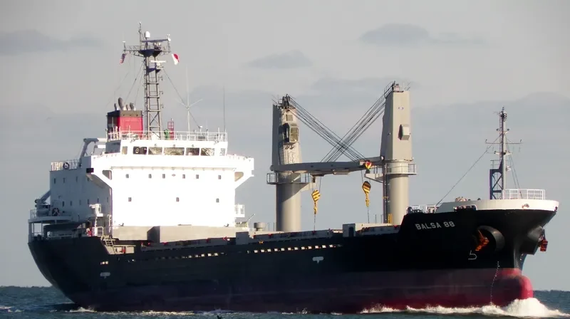 BALSA 88 General Cargo IMO 9616034 photo 9