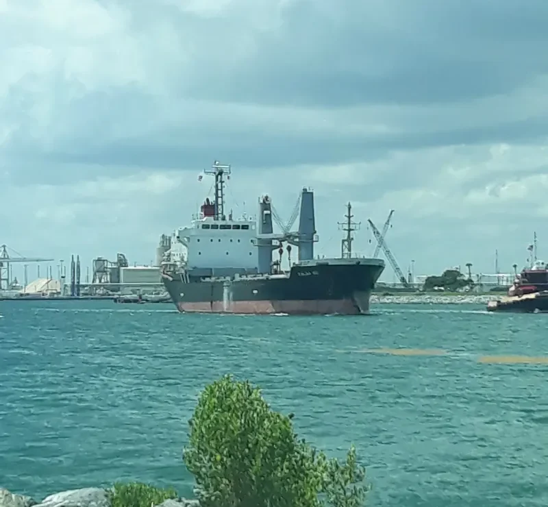 BALSA 88 General Cargo IMO 9616034 photo 10