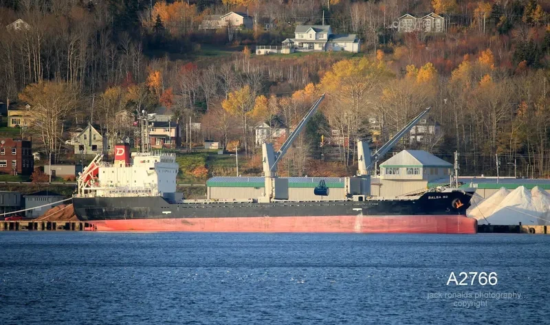 BALSA 92 General Cargo IMO 9616060 photo 8