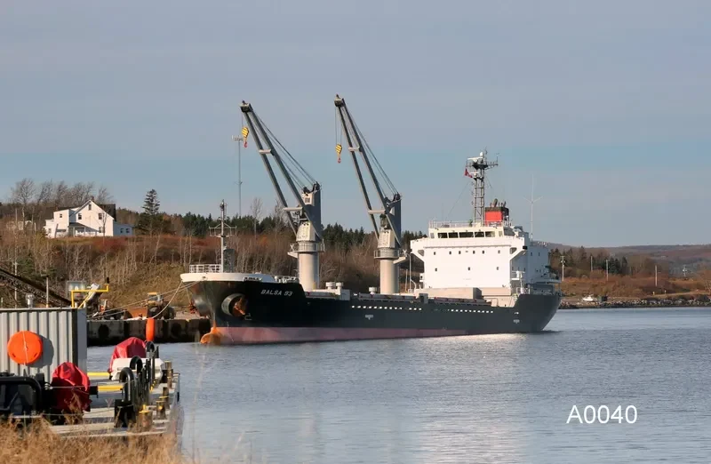 BALSA 93 General Cargo IMO 9616072 photo 2