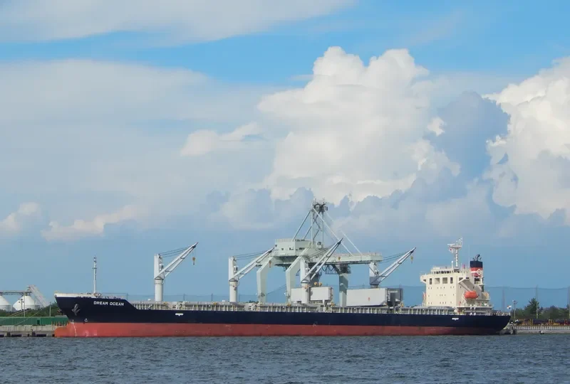 DREAM OCEAN Bulk Carrier IMO 9616101