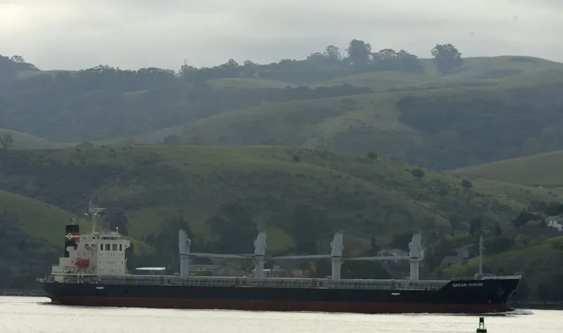 DREAM OCEAN Bulk Carrier IMO 9616101 photo 3