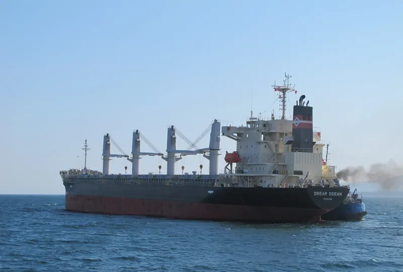 DREAM OCEAN Bulk Carrier IMO 9616101 photo 6