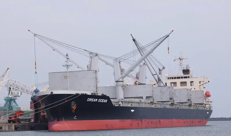 DREAM OCEAN Bulk Carrier IMO 9616101 photo 7