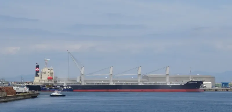 DREAM OCEAN Bulk Carrier IMO 9616101 photo 8