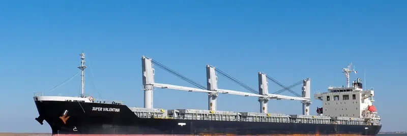 SUPER VALENTINA Bulk Carrier IMO 9616113