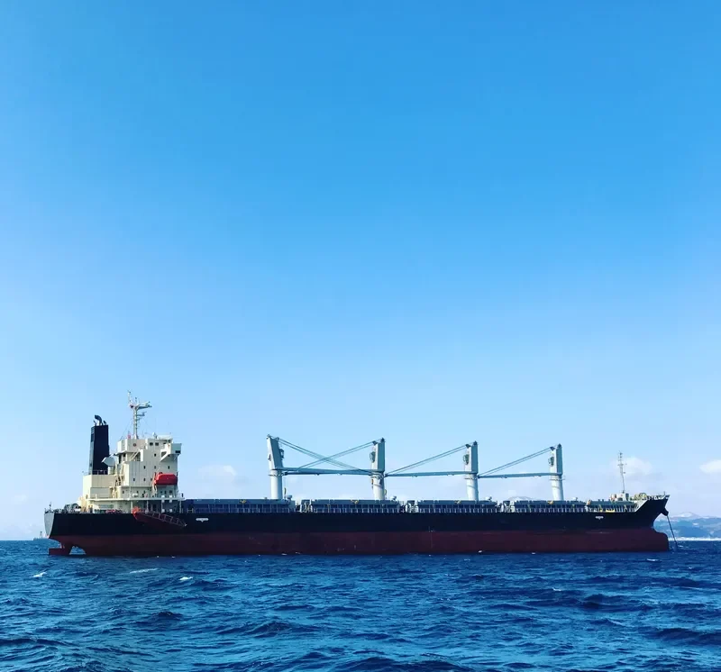 SUPER VALENTINA Bulk Carrier IMO 9616113 photo 3