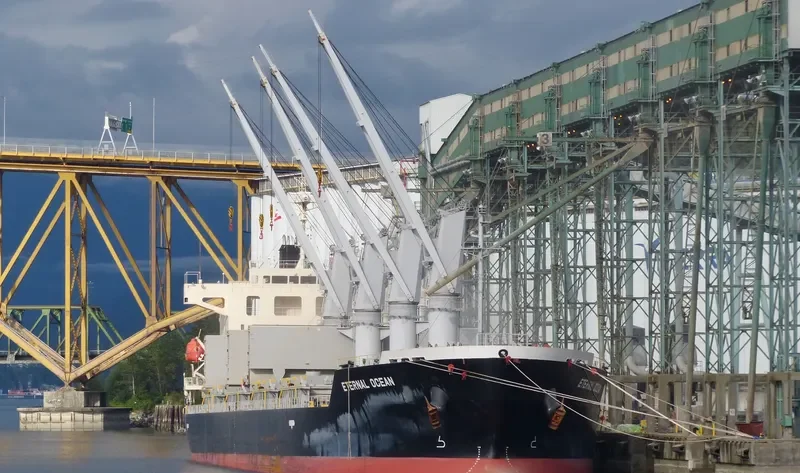 SUPER VALENTINA Bulk Carrier IMO 9616113 photo 6
