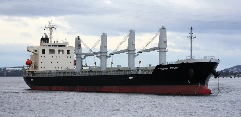 SUPER VALENTINA Bulk Carrier IMO 9616113 photo 9