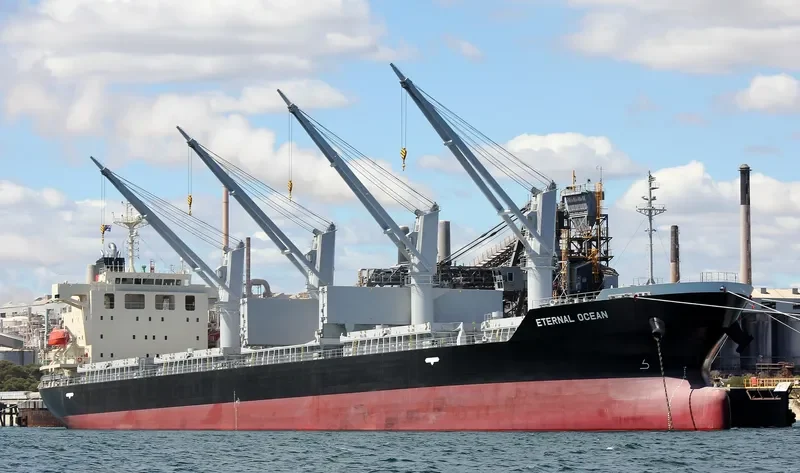 SUPER VALENTINA Bulk Carrier IMO 9616113 photo 10