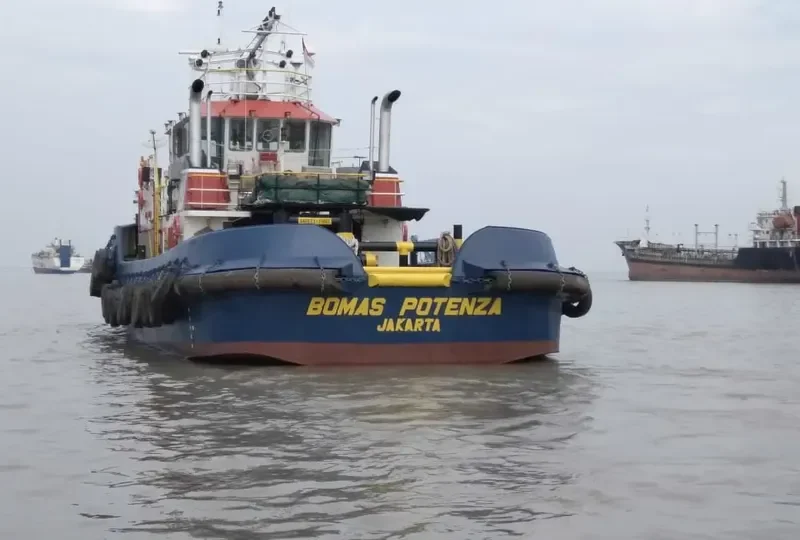 BOMAS POTENZA Tug Boat IMO 9616149 photo 3