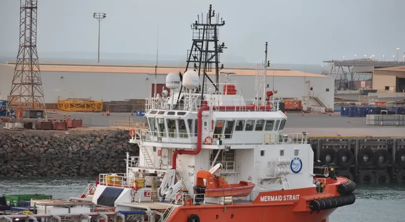 MERMAID STRAIT General Cargo IMO 9616216 photo 6