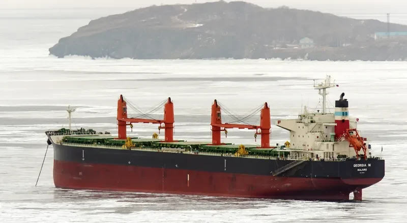 GEORGIA M Bulk Carrier IMO 9616618 photo 3
