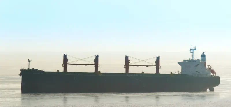 GEORGIA M Bulk Carrier IMO 9616618 photo 4