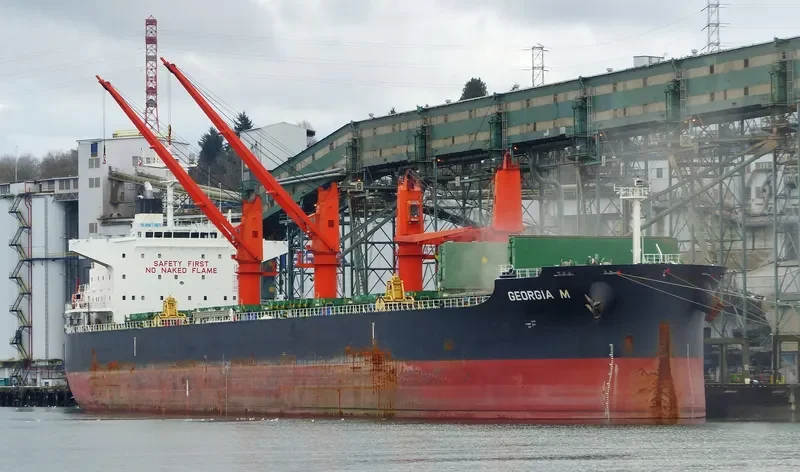 GEORGIA M Bulk Carrier IMO 9616618 photo 6