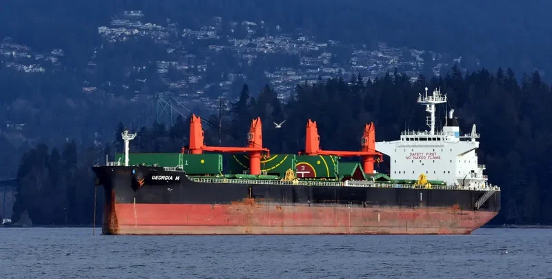 GEORGIA M Bulk Carrier IMO 9616618 photo 8