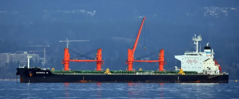 GEORGIA M Bulk Carrier IMO 9616618 photo 10