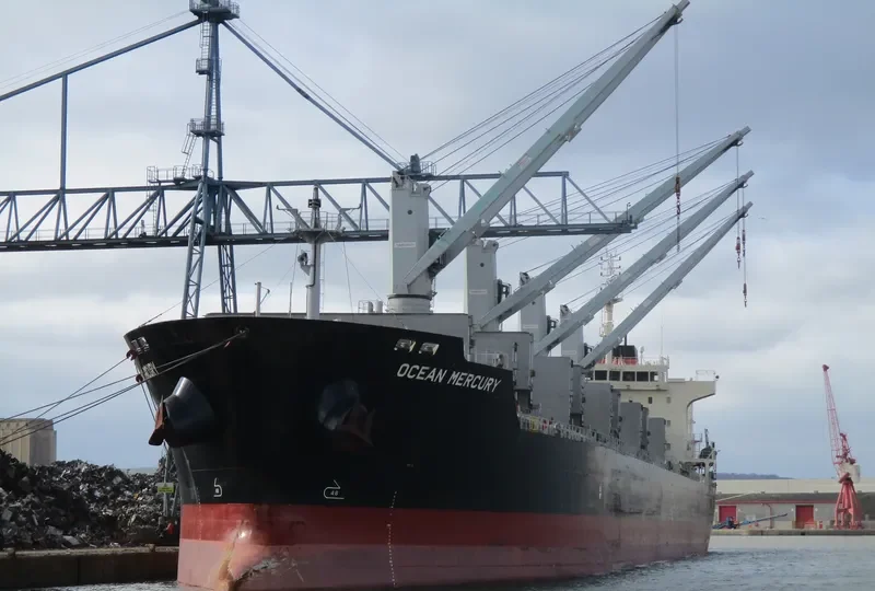 OCEAN MERCURY Bulk Carrier IMO 9616735 photo 2