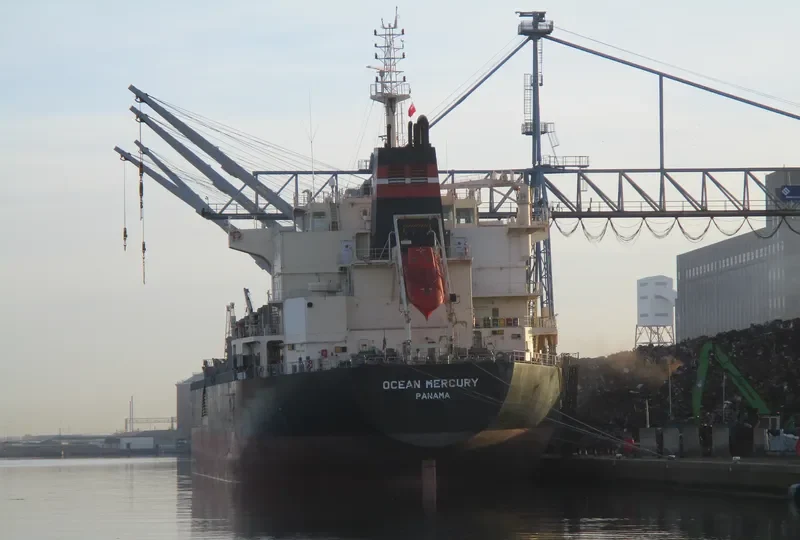OCEAN MERCURY Bulk Carrier IMO 9616735 photo 4