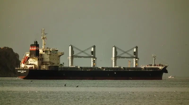 OCEAN MERCURY Bulk Carrier IMO 9616735 photo 5