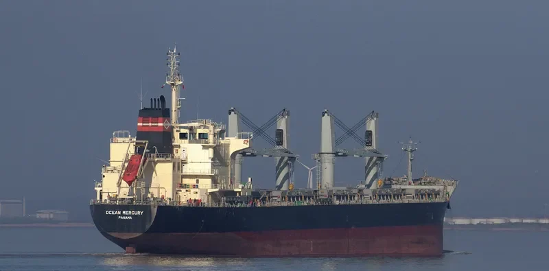 OCEAN MERCURY Bulk Carrier IMO 9616735 photo 7