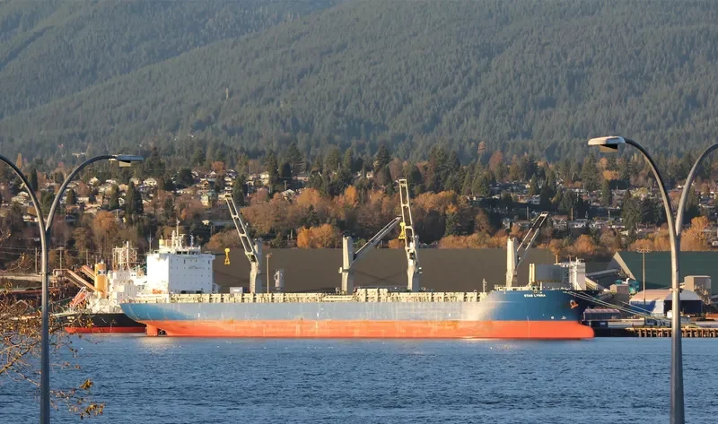 STAR LYGRA General Cargo IMO 9616838 photo 9